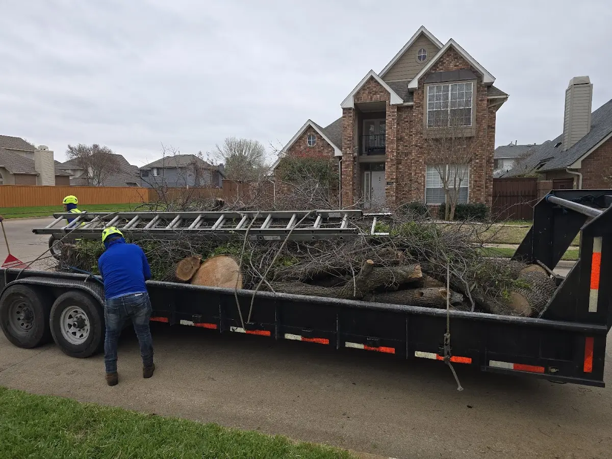 Expert Tree Removal with proper safety equipment in Wilmington